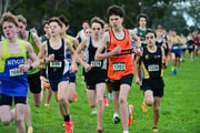 TIM_1842 TIM_1842