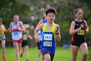 1_TIM_8243