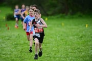 TIM_3325 TIM_3325