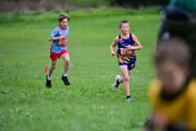 TIM_3618 TIM_3618