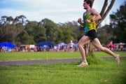 TIM_0859