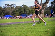TIM_0848