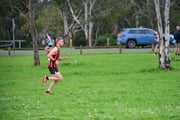 TIM_2002