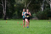 TIM_9836 TIM_9836