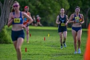 TIM_0295