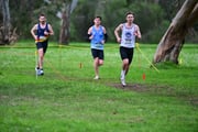 TIM_0289