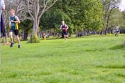 TIM_3036