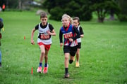 TIM_3599 TIM_3599