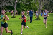 1_TIM_8148