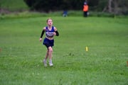 TIM_3063 TIM_3063