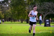 TIM_0461