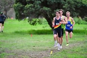 TIM_8040 TIM_8040