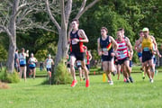 1_TIM_2959