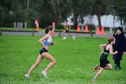 TIM_2079