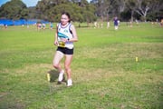 TIM_9563