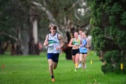 TIM_0675 TIM_0675