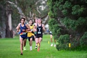 TIM_0605 TIM_0605