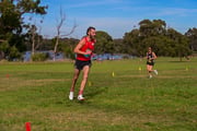 TIM_8482
