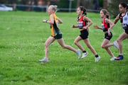TIM_2574 TIM_2574