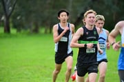 TIM_3886 TIM_3886