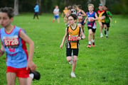 TIM_3194