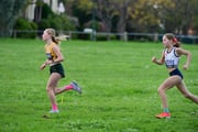 TIM_2548 TIM_2548