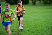 TIM_3533 TIM_3533