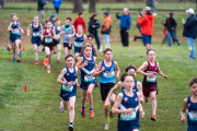 Australian-Cross-Country-Championships-2025-0104