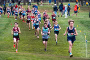 Australian-Cross-Country-Championships-2025-0119