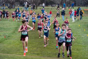 Australian-Cross-Country-Championships-2025-0124