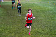 Australian-Cross-Country-Championships-2025-0221