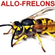 Nid d’abeilles, tout savoir cropped logo fg 1 - Nid d’abeilles, tout savoir