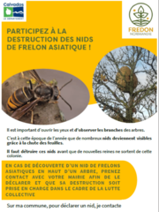 image 3 - Destruction nid frelon asiatique, qui paye?