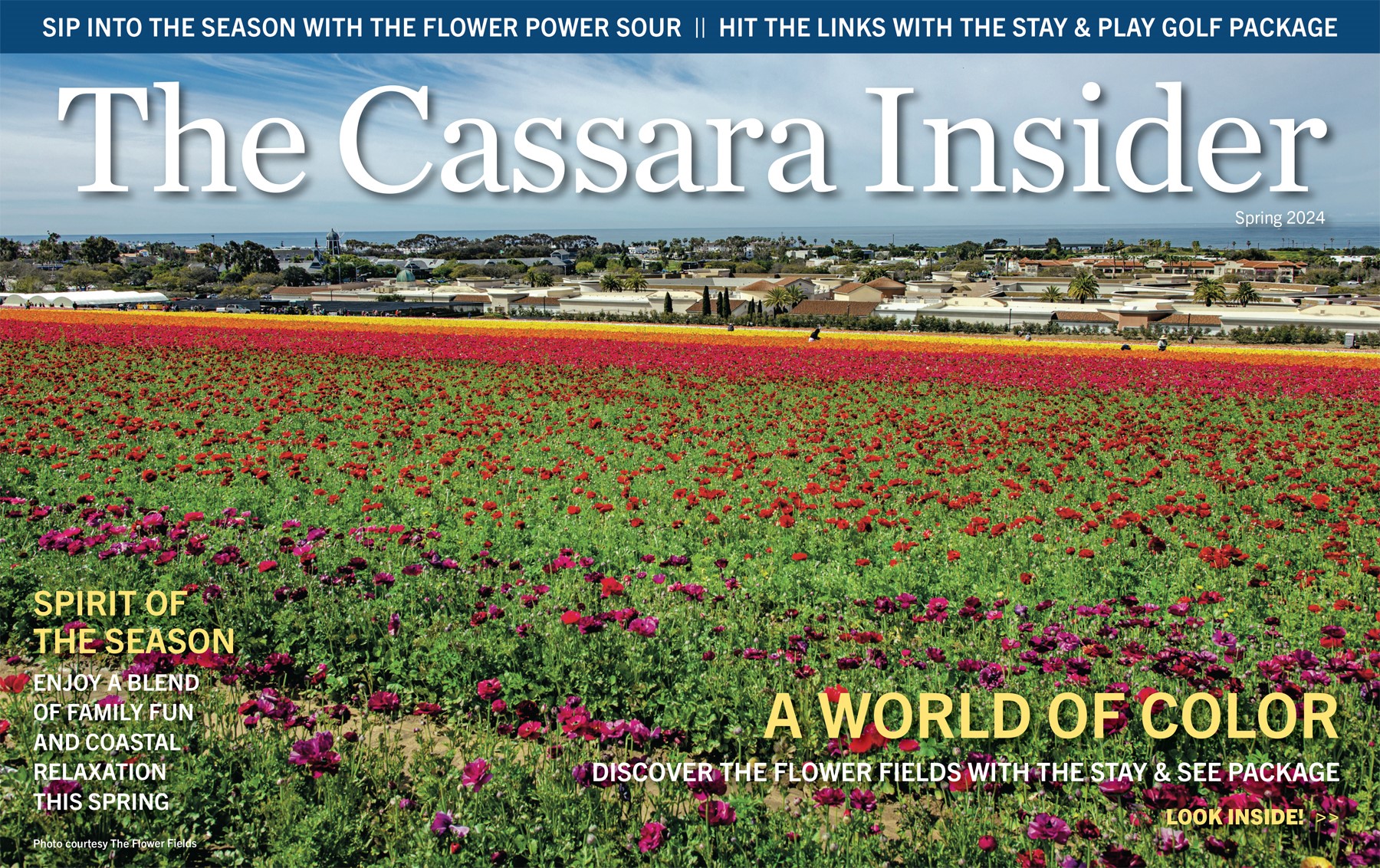 The Cassara Insider Spring Edition 