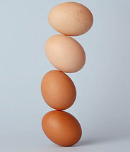 How to make Delicious Indulgent Homemade Ice Cream Image 7 4 eggs balanced on top of each other frosted fusions How to make Delicious Indulgent Homemade Ice Cream Image 7 4 eggs balanced on top of each other frosted fusions
