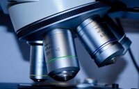 What's the most popular ice cream flavour image 2 jpeg microscope frosted fusions