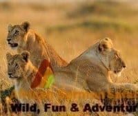 The Best Tanzania Holiday Trips In 2024 Price Guarantee