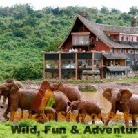 The Best of 6 Day Kenyan Safari Tour Value Experience