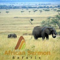 The Best of 7-Day Kenya Explorer Safari
