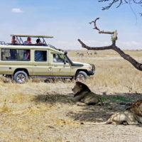 The Best 12-Day Kenya Safari Trip & Diani Beach