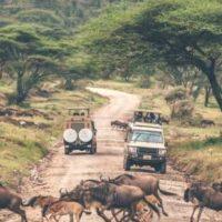 The Best Kenya Tanzania Safari in East Africa