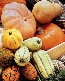 autumnal-perfection-homemade-pumpkin-ice-cream-recipe-image-2-pile-of-a-variety-of-pumpkins-frosted-fusions