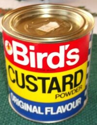 Homemade Rhubarb And Custard Ice Cream Recipe image 1 original tin of birds custard powder frosted fusions