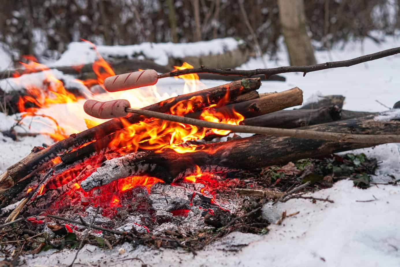 Two Polish sausages on sticks being roasted over a campfire surrounded by snow-covered ground.