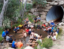 Falls-Creek-2008_0277_3316x2536_6197019