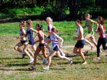 XCR2010-Brimbank-Park_0004_3162x2350_6199744