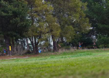 Australian-Cross-Country-Championships-2025z9-2-2