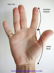 large palm, short fingers