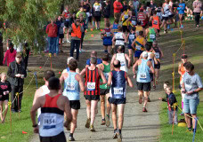 TIM_8457_4564x3198_4581570