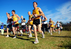 NSW-Cross-Country-Championships-2010_0042_3597x2476_6199500